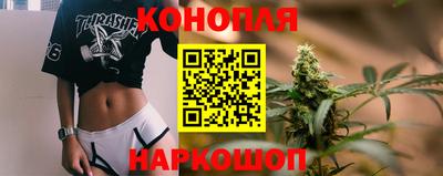 шишки Абинск