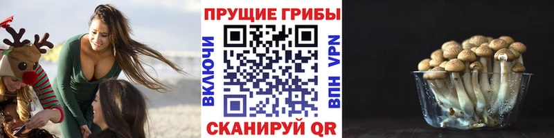 Галлюциногенные грибы прущие грибы  ссылка на мегу вход  дарк нет формула  Санкт-Петербург 