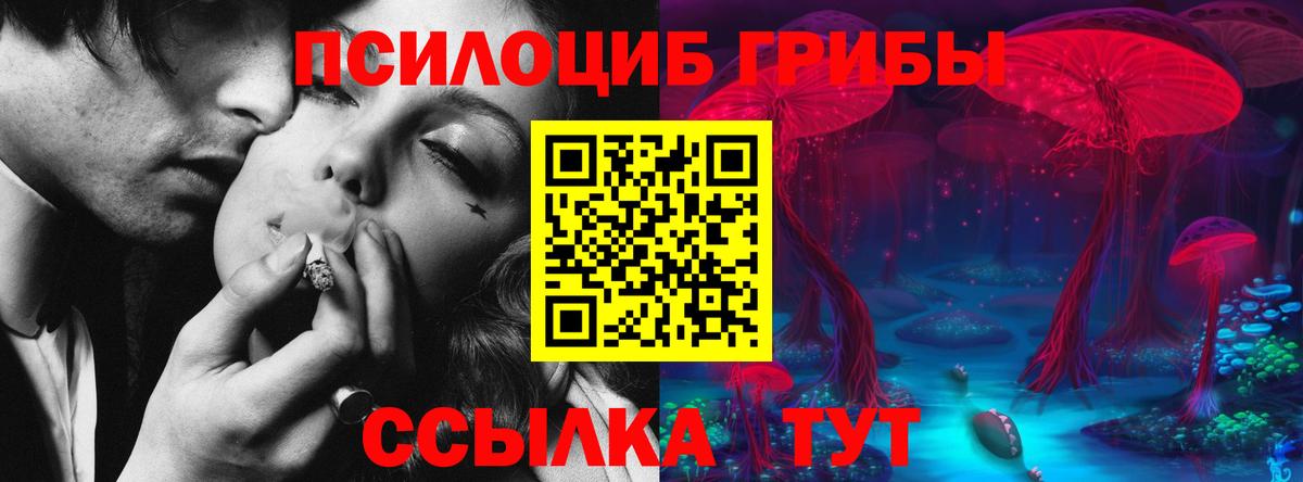 Псилоцибиновые грибы Cubensis Санкт-Петербург