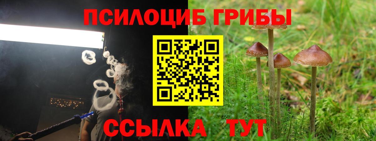 Галлюциногенные грибы прущие грибы Санкт-Петербург